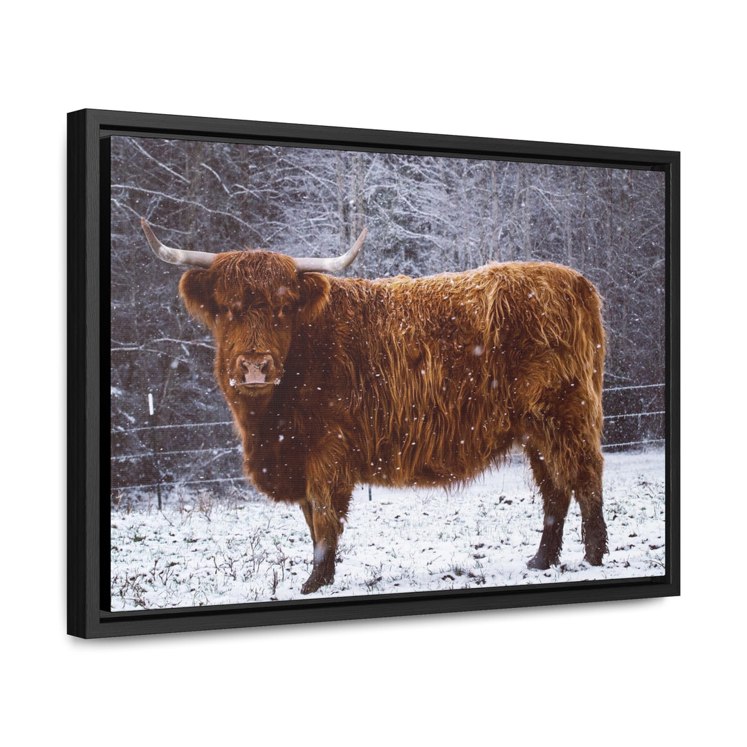 The Ruby Collection - Gallery Canvas Wraps, Horizontal Frame