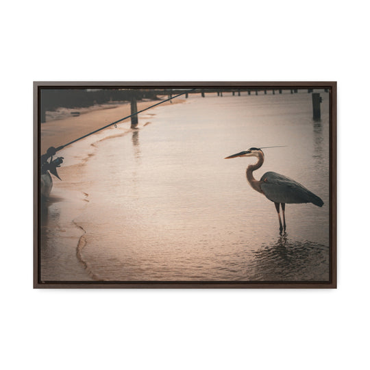 Great Blue Heron - Gallery Canvas Wraps, Horizontal Frame