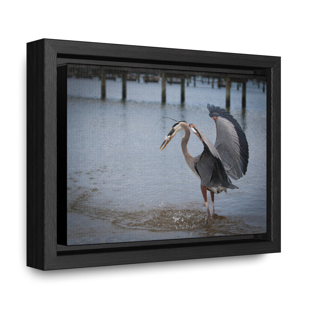 Great Blue Heron - Gallery Canvas Wraps, Horizontal Frame